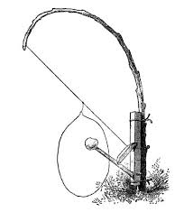 File:Snare example.jpg