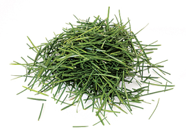 Clippings from a lawn of grass